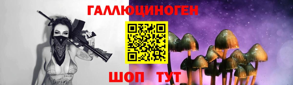 Галлюциногенные грибы GOLDEN TEACHER  хочу   Усть-Джегута  Вход с VPN 